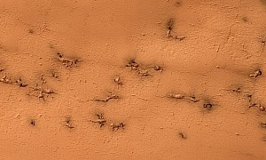 They May Look Like It, But Those Are Not Really Fire Ants on the Surface of Mars