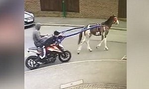 Thieves Steal KTM Bike in Most Unusual Fashion, With Help From a Horse
