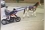 Thieves Steal KTM Bike in Most Unusual Fashion, With Help From a Horse