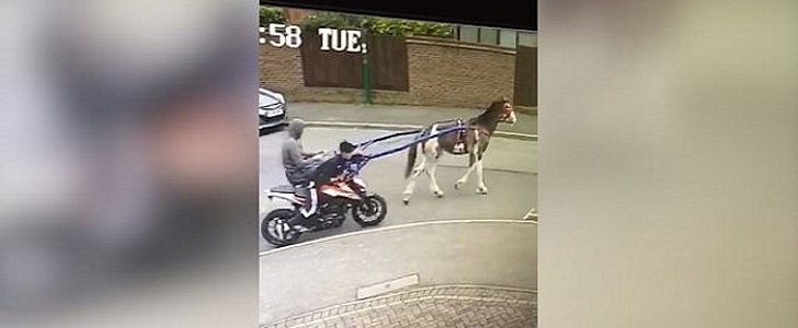 Thieves who can't ride stolen bike have a horse pull it from the scene