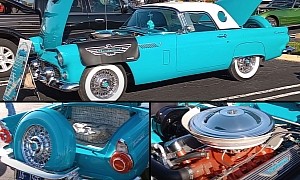 This 1956 Ford Thunderbird in Peacock Blue Is What All Barn Finds Hope To Become