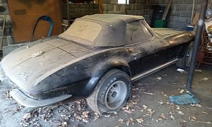 This 1965 Chevrolet Corvette Is a Real Barn Find With Bird Nests Coming Out of the Exhaust