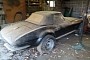 This 1965 Chevrolet Corvette Is a Real Barn Find With Bird Nests Coming Out of the Exhaust