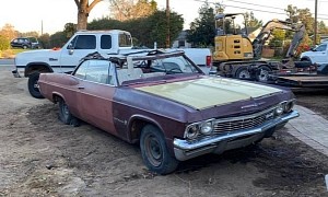 This 1965 Chevrolet Impala Still Looks Restorable After a Tree Branch Fell on It