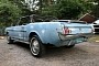 This 1965 Ford Mustang Born at Dearborn Proves Rust Means Nothing to a Legend