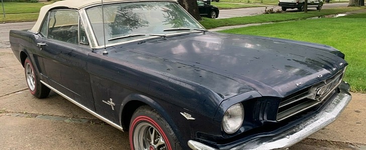 Alleged Mustang barn find