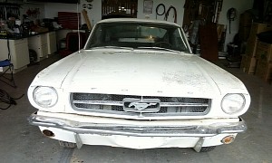 This 1965 Mustang Fastback Spent 23 Years in a Barn, Rear Was Left to Sleep in Mud