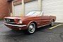 This 1966 Ford Mustang in Emberglo is All Original, Needs a Second Chance