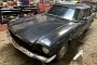 This 1966 Ford Mustang Is a Completely Different Car on the Inside, Flaunts Japanese Power