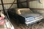 This 1966 Ford Mustang Is a True Barn Find with an Original Deluxe Pony Interior