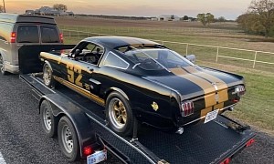 This 1966 Shelby GT350H Is the Coolest Rent-a-Racer in Existence, Sounds Menacing