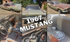 This 1967 Ford Mustang Is a 4th of July Surprise, Parked Three Decades Ago