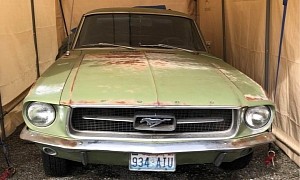 This 1967 Ford Mustang Parked for 20 Years Is as Mysterious as It Gets