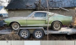 This 1967 Ford Mustang Shelby GT500 Spent 40 Years in a Barn, Now Being Restored