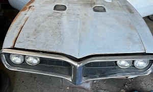 This 1967 Pontiac Firebird Was Stored Outside for Too Long, And You Can Guess the Rest