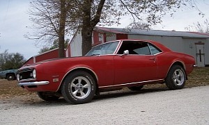 This 1968 Chevrolet Camaro Fell Victim to a Mouse Attack, Still Adorable