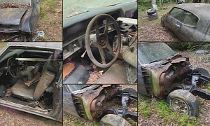This 1971 Chevrolet Chevelle Abandoned in a Forest Proves Humanity Doesn't Deserve Cars