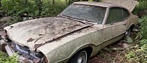 This 1973 Ford Was Forgotten in a Barn That Fell Apart, Now Abandoned in the Woods