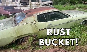 This 1973 Plymouth Satellite Rust Bucket Can Make a Grown Man Cry