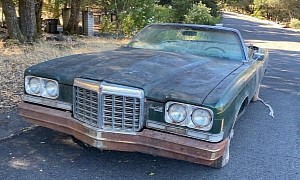 This 1973 Pontiac Barn Find Could Look Glorious After a Good Bath