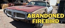 This 1974 Pontiac Firebird Dreamed of Becoming a Trans Am, Ended Up in a Junkyard