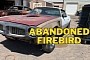 This 1974 Pontiac Firebird Dreamed of Becoming a Trans Am, Ended Up in a Junkyard