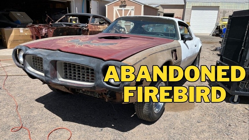 This Firebird needs help, and it needs it now