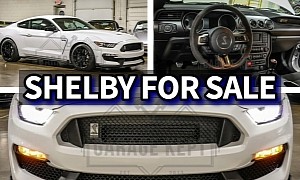 This 2016 Ford Mustang Shelby GT350 or a New 2024 Mustang GT Fastback?