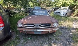 This Abandoned 1965 Mustang Looks More Compelling Than the Entire Junkyard