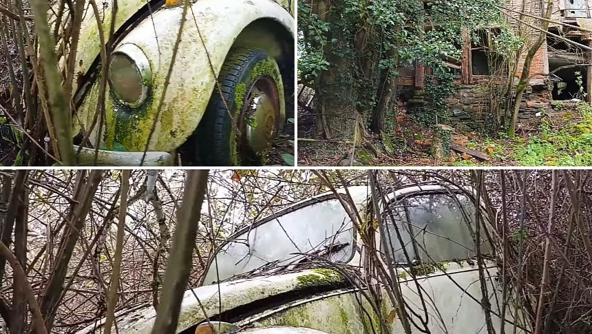 Abandoned Volkswagen Beetle