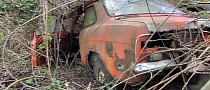 Hoard of Abandoned Classic Cars Was Completely Reclaimed by Nature