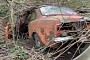 Hoard of Abandoned Classic Cars Was Completely Reclaimed by Nature