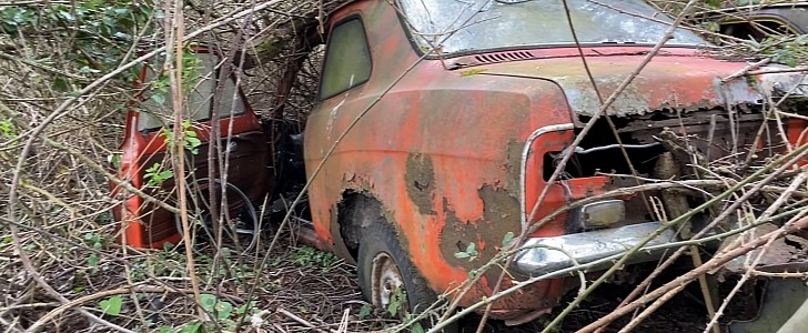 classic car hoard abandoned in the woods