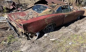 This Backyard Is Muscle Car Heaven, Sadly They're All Rotting Away