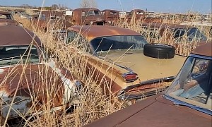 This Big Hoard of 1950s American Classics Is Sadly Rotting Away in a Junkyard