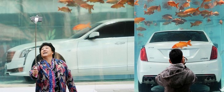 Cadillac CT6 Submerged in a Fish Tank in Shanghai