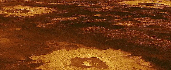 Venus crater farm