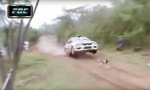 This Encounter Between a Speeding Rally Car and a Dog Will Have You Screaming
