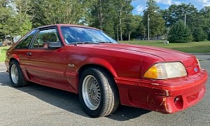 This Ford Mustang Barn Find Has Slept for 19 Years But Is Awake Now