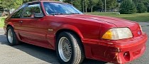 This Ford Mustang Barn Find Has Slept for 19 Years But Is Awake Now