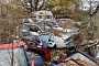 This Forest Junkyard Is Packed With Rare Volkswagens, Including Golf GTIs