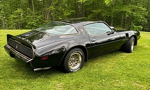 This Gorgeous 1981 Pontiac Trans Am Hides a Massive GTO Surprise Under the Hood