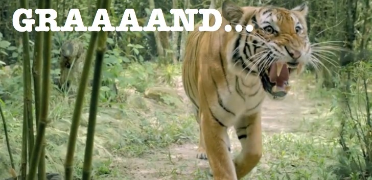This Indian Tiger Thinks the Hyundai i10 Is "Grand" [Video]