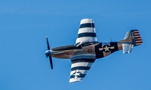This Is One of the Most Famous American Fighters Ever, It Grounded Luftwaffe in WWII