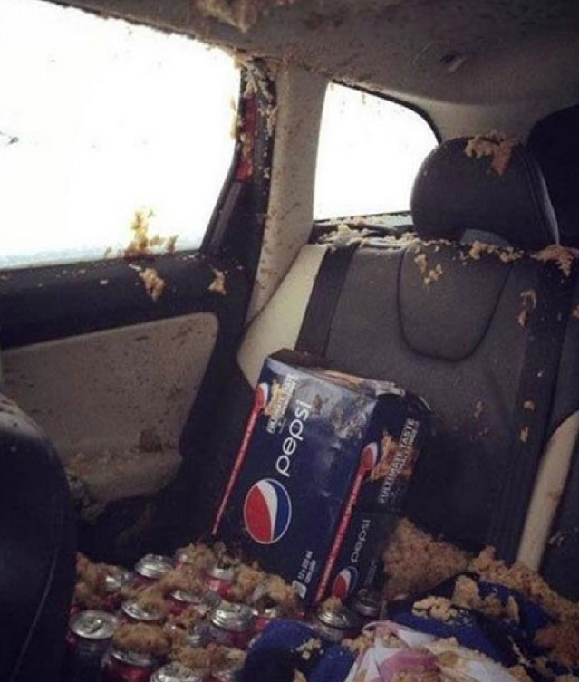 this-is-why-you-dont-want-to-leave-soda-in-your-car-over-night-91430_1.jpg