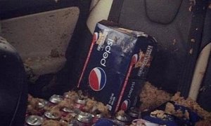 Pepsi Cans Left Overnight in Car Explode Because of Cold