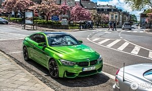 This Java Green Individual BMW M4 Seems Out of this World
