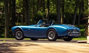 This Mark I Shelby Cobra 289 Might Steal Your Wallet