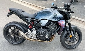 This Mildly Modified 2019 Honda CB1000R Looks and Sounds Downright Predatory