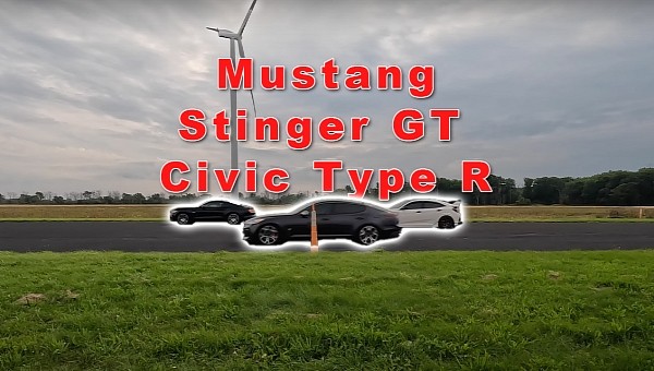 This Mustang Driver Can't Decide Between Winning and Losing